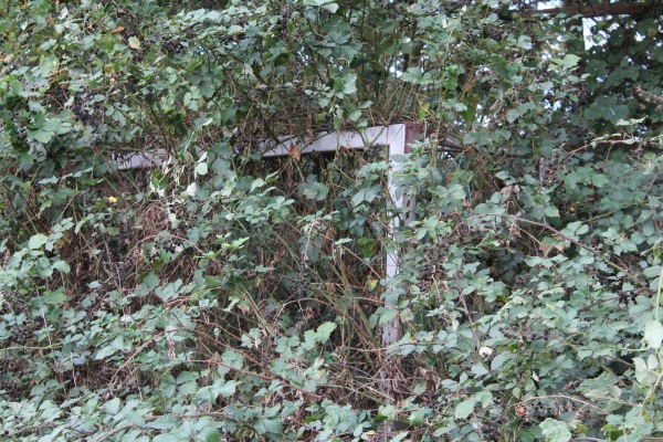 Sportplatz am Mauspfad - Köln-Grengel