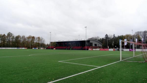 Sportpark De Bijenkorf veld 2-hoofdveld - Hengelo OV