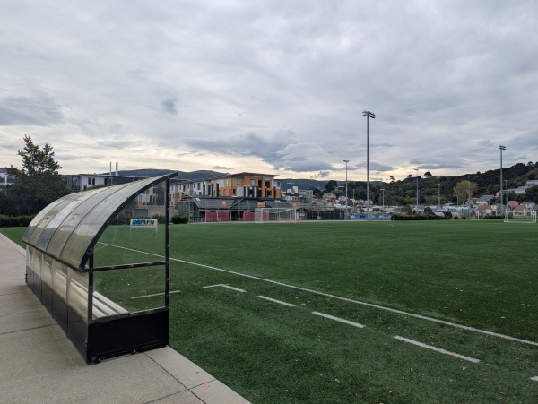 Logan Park Field A1 - Dunedin