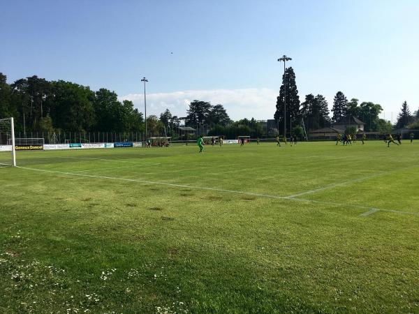 Stade de Balexert terrain 2 - Châtelaine