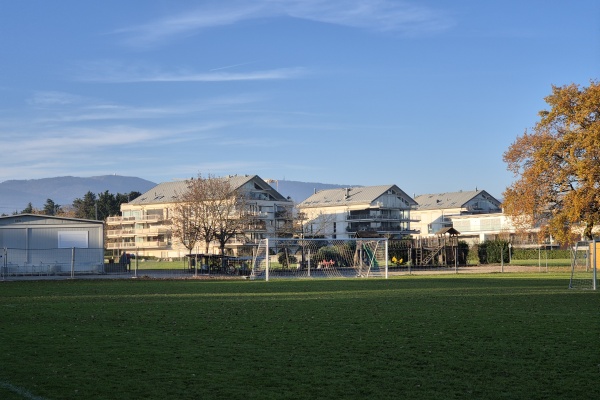 Terrain de Chaucey - Coppet