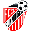 Wappen FC 1920 Dunningen diverse