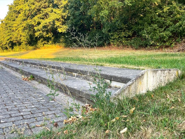 Jakob-Vogt-Stadion - Ochtendung