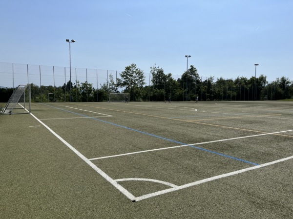 Sportanlage Waldegg Platz D - Horgen