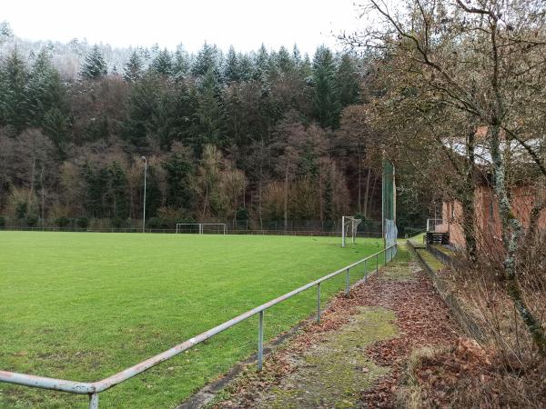 Sportanlage Im hinteren Tal Platz 2 - Pforzheim-Dillweißenstein