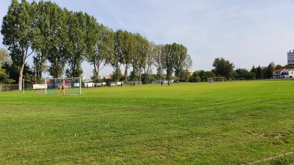 Stadion Górniczy przy ZSZiO w Lubinie - Lubin