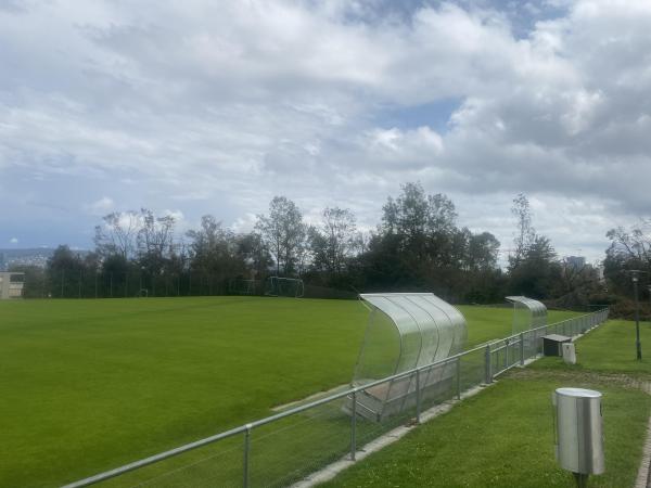 Sportanlage Buchlern Platz 5 - Zürich