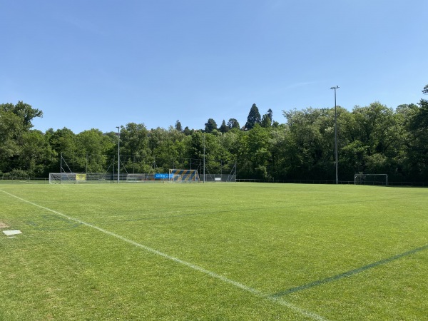 Stade Municipal du Moulin - La Plaine