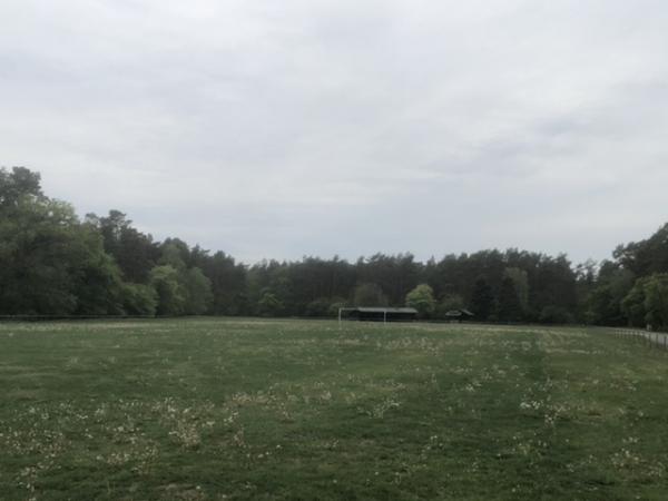 Sport- und Freizeitzentrum Schlingsbruch Platz 2 - Augustdorf