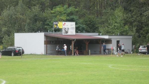 Boisko w Sieniawie Żarskiej - Sieniawa Żarska