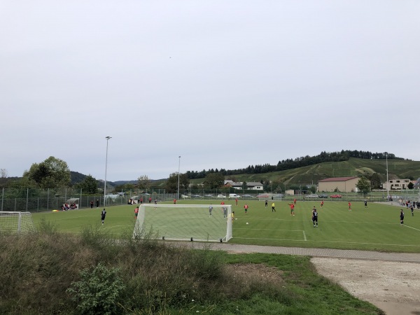 Sportanlage an der Elz Platz 2 - Waldkirch-Buchholz