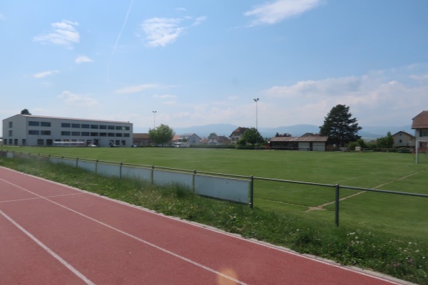 Terrain En Courtes-Raies - Chavornay