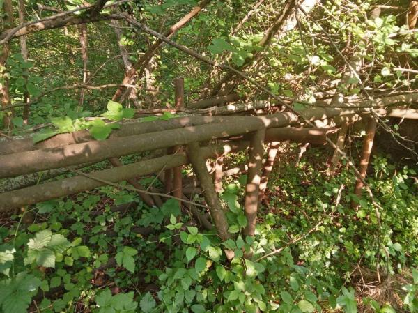 Sportplatz im Steinbruch - Mettmann-Neanderhöhe