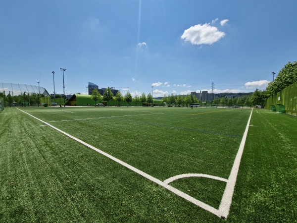 Sportanlage Heerenschürli Platz 5 - Zürich