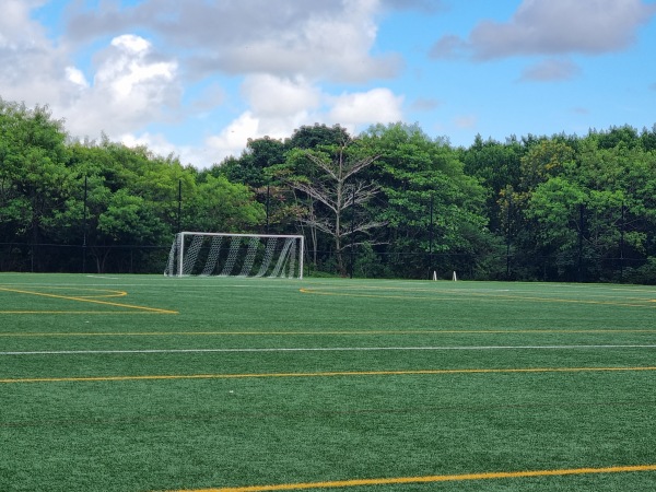 Mills Pond Park Soccer Field 1 - Fort Lauderdale, FL