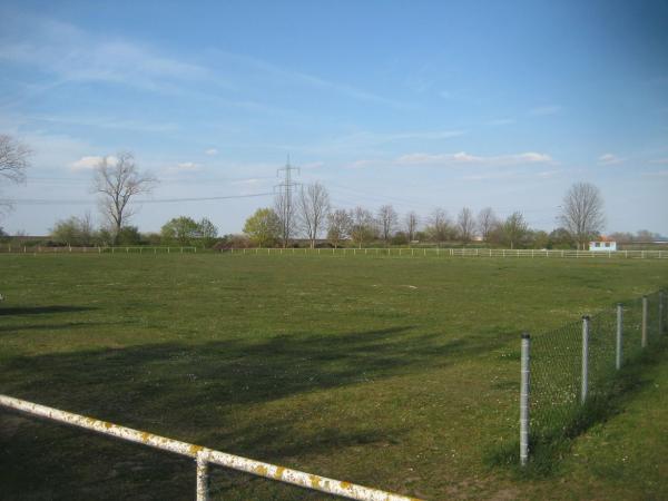 Kanalstadion - Niedere Börde-Groß Ammensleben
