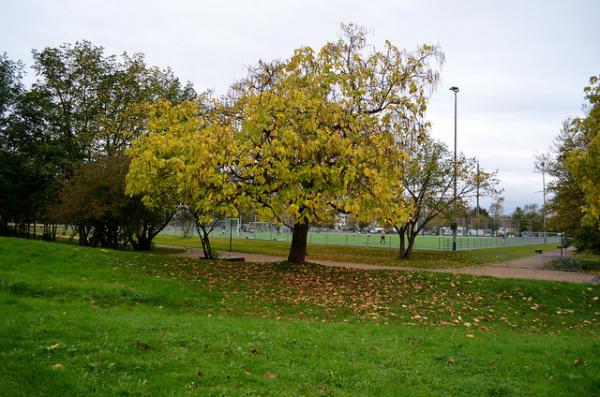 Sportanlage Josefshöhe Platz 2 - Bonn-Auerberg