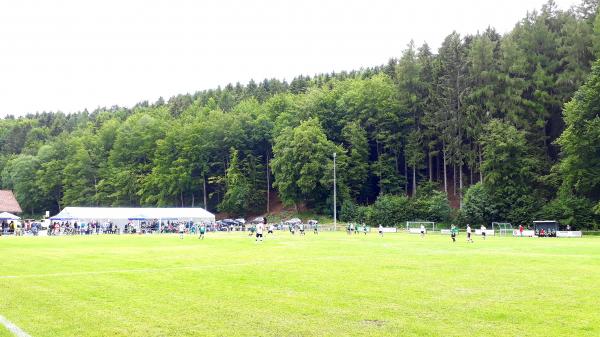 Sportplatz Seiferts - Ehrenberg/Rhön-Seiferts