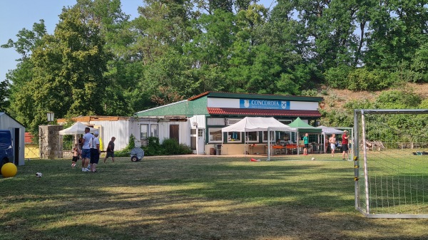 Friedrich-Ludwig-Jahn-Stadion - Buckow/Märkische Schweiz