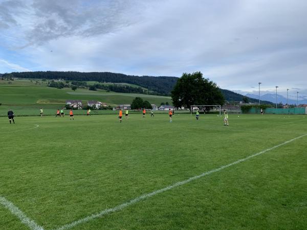 Sportplatz Inseli Nebenplatz - Konolfingen