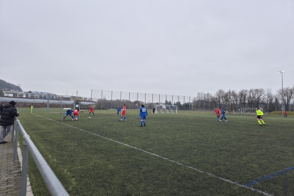 Sportplatz Werd Platz 3 - Geroldswil