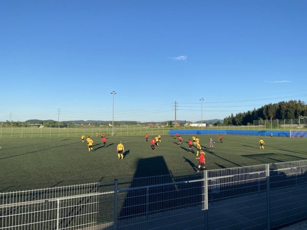 Sportanlage Rolli Kunstrasenplatz - Seuzach