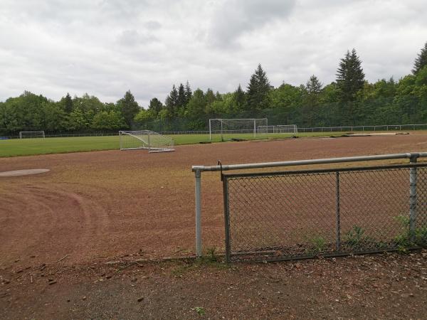 Stadion Goldene Aue - Goslar-Kattenberg