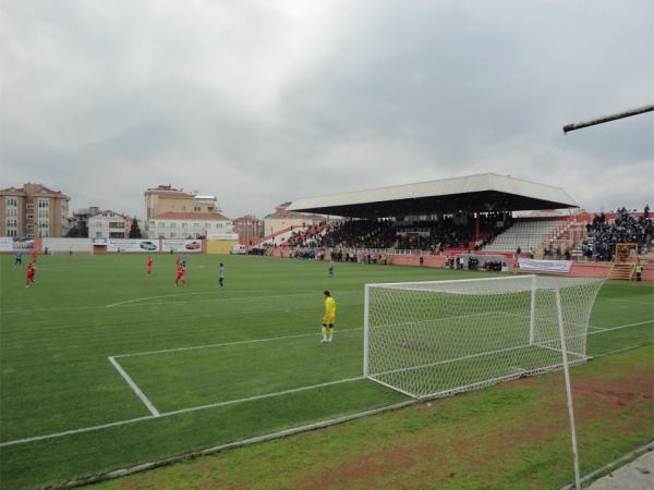 Pendik Stadyumu - Stadion in Pendik