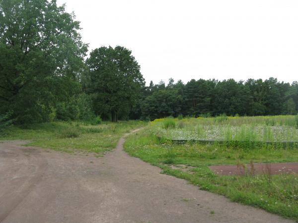 Sportplatz Birkenwäldchen - Berlin-Adlershof