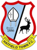 Wappen Hatfield Town FC  116521