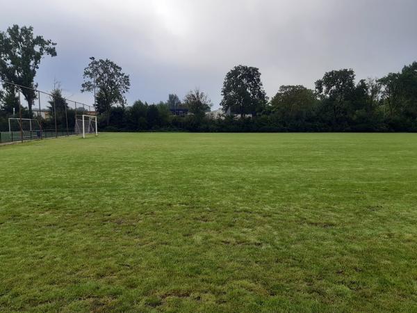 Sportpark West-End veld 4-Lycurgus - Groningen