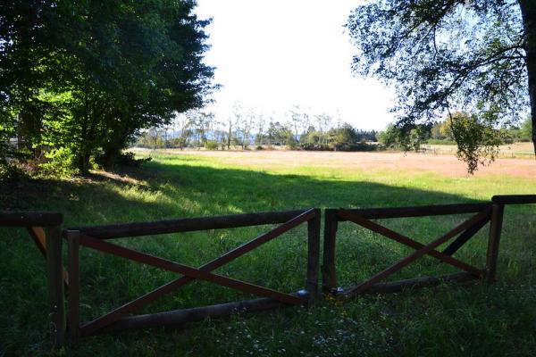 Sportplatz Blumenrather Heide - Virneburg