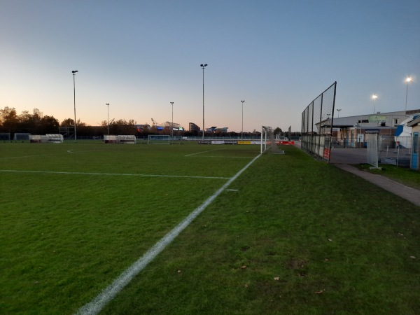 Sportpark Skoatterwâld veld 3 - Heerenveen