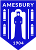 Wappen Amesbury Town FC