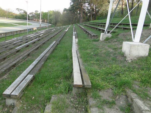 Reiterwaldstadion - Vechta