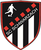 Wappen SC Schwarzach 2009 II  62841