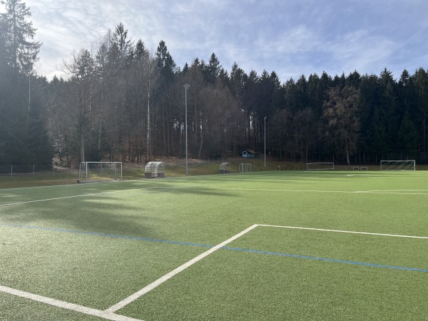 Waldsportpark Platz 2 - Ebersberg