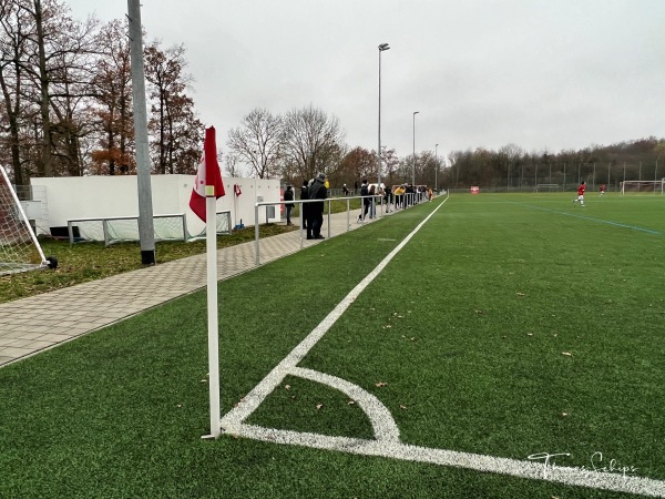 FV-Sportanlage - Kunstrasenplatz am Berg - Löchgau