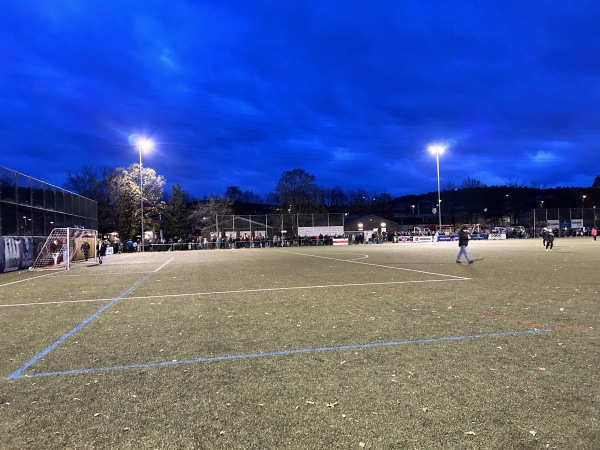 Sportanlage Hafenbahnstraße Platz 2 - Stuttgart-Obertürkheim