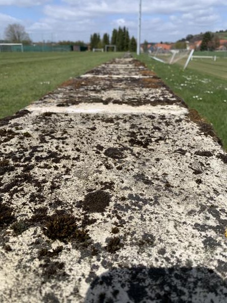 Sportplatz Zum Strahlenkamp - Moringen-Fredelsloh