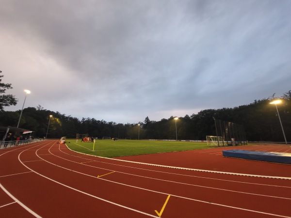 Waldstadion - Harsefeld