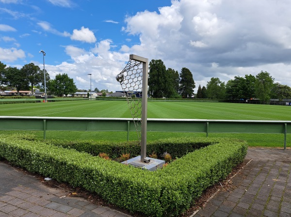 Gower Park - Hamilton