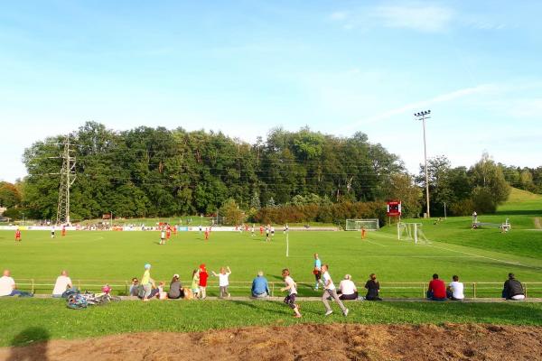 Sportplatz Tal - Adliswil