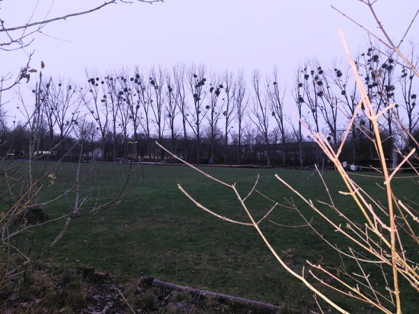 OSC/YES Fußballplatz - München