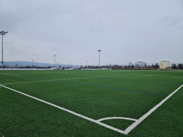 Sportanlage Griespark Platz 4 - Volketswil
