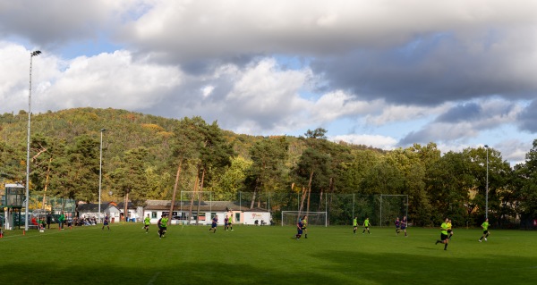 Waldstadion - Dresden-Oberpoyritz