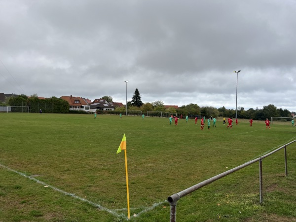 Sportanlage Hesselbacher Straße Platz 2 - Michelstadt-Würzberg
