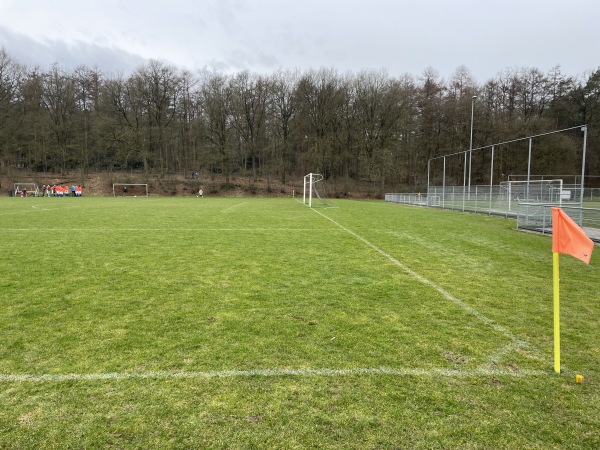 Sportpark De Pinkenberg veld 5-DVOV - Rozendaal