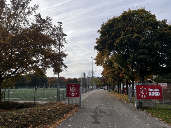 Rosskopf Arena im Dietenbach-Sportpark - Freiburg/Breisgau