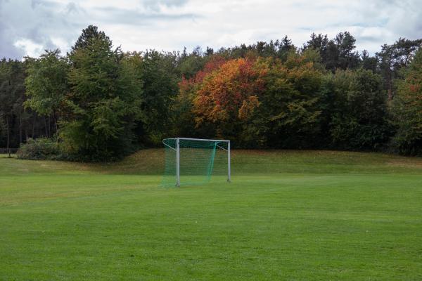 Sportplatz Erich-Kästner-Schule - Postbauer-Heng
